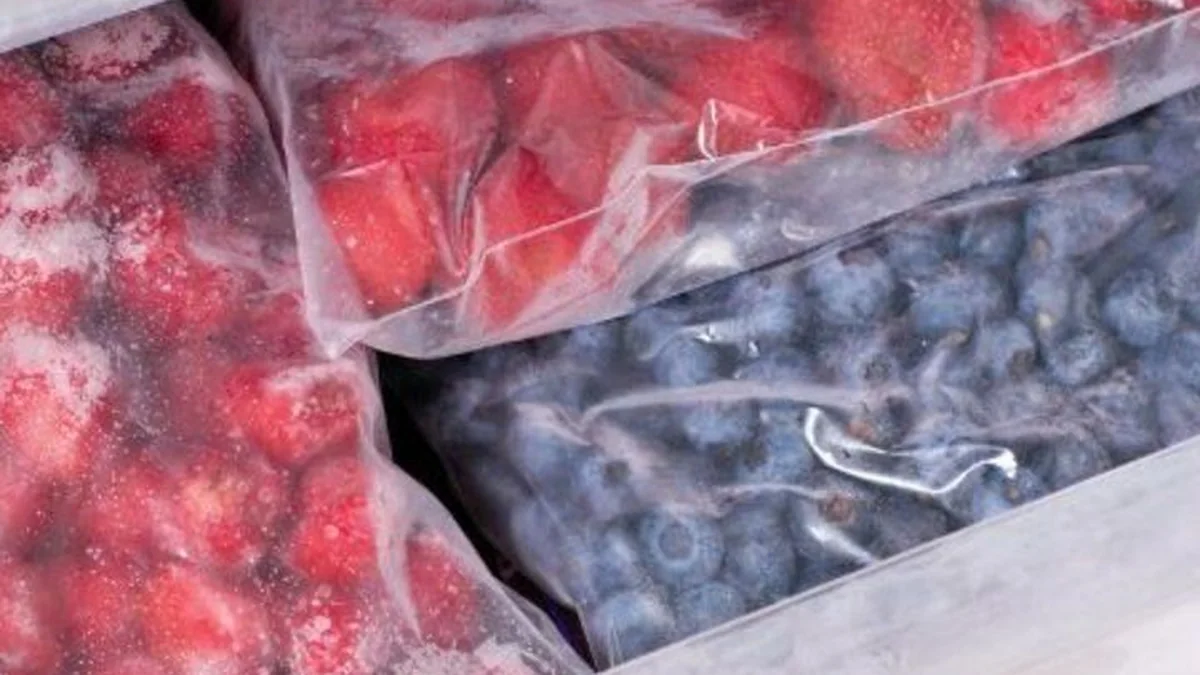 Fruta congelada IQF en bolsas, fresa y arándano